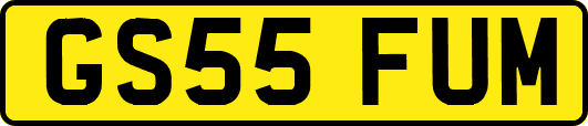 GS55FUM