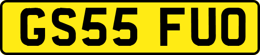 GS55FUO