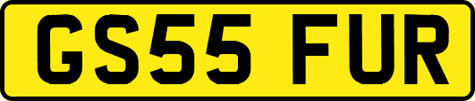 GS55FUR