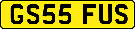 GS55FUS