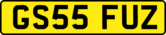 GS55FUZ