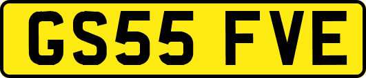 GS55FVE