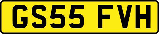 GS55FVH