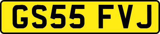GS55FVJ