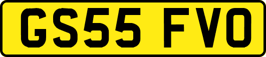 GS55FVO