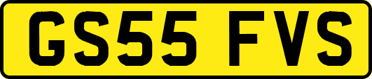 GS55FVS