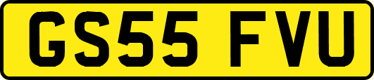 GS55FVU