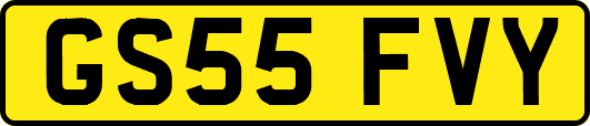 GS55FVY