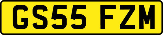 GS55FZM