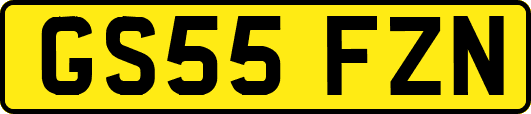 GS55FZN