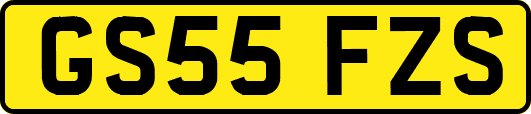 GS55FZS