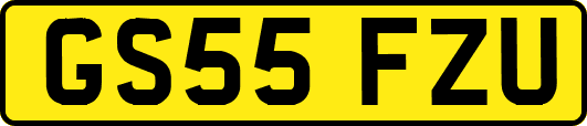 GS55FZU