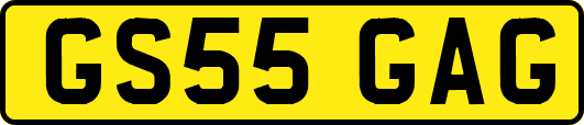 GS55GAG