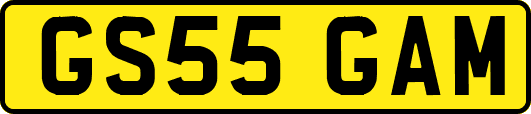 GS55GAM