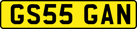 GS55GAN