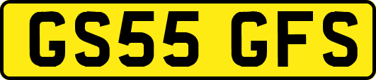 GS55GFS