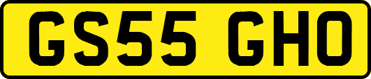 GS55GHO