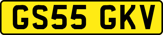 GS55GKV