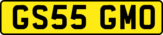 GS55GMO