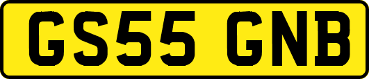 GS55GNB