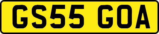 GS55GOA