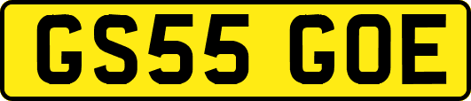 GS55GOE