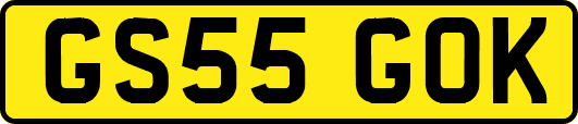GS55GOK