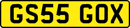 GS55GOX