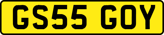 GS55GOY