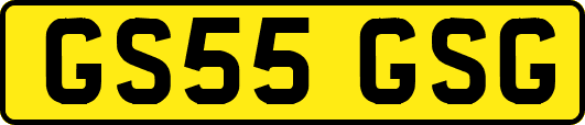 GS55GSG