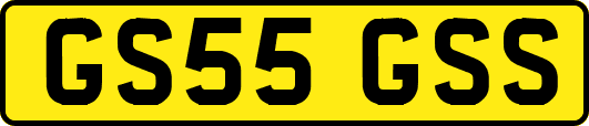 GS55GSS