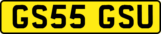 GS55GSU
