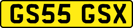 GS55GSX
