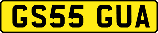 GS55GUA