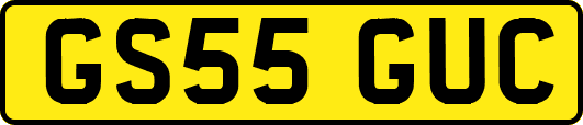 GS55GUC