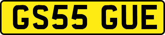 GS55GUE
