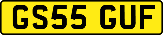GS55GUF