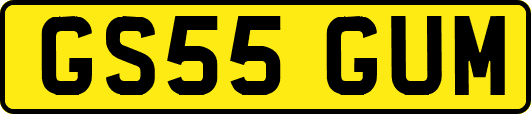 GS55GUM