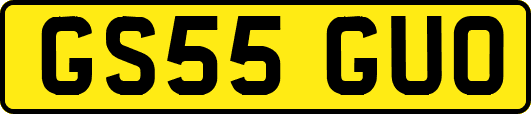 GS55GUO
