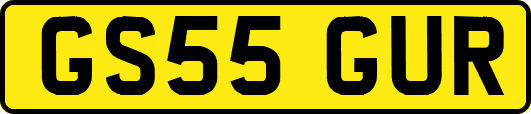 GS55GUR