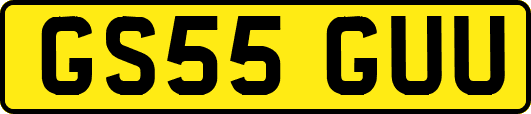 GS55GUU