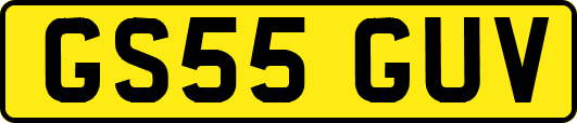 GS55GUV