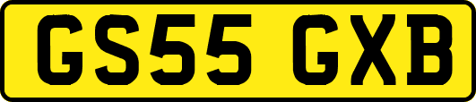 GS55GXB