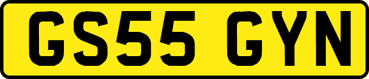 GS55GYN