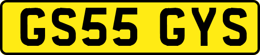 GS55GYS