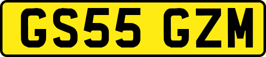 GS55GZM