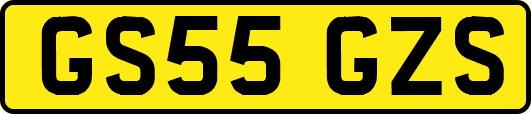GS55GZS
