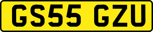 GS55GZU