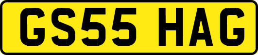 GS55HAG