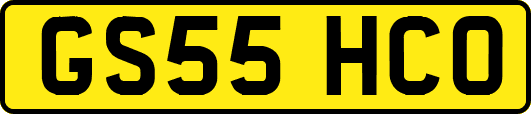 GS55HCO